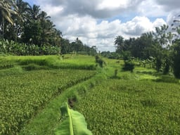 Agri