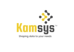Kamsys Techsolutions India Private Limited