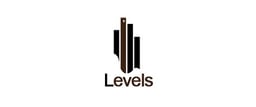 Levels Renovation And Engineering
