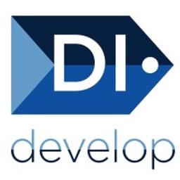DI develop Inc.