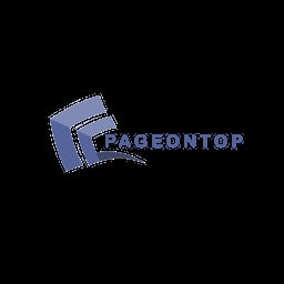PageOnTop Digital Marketing Agency